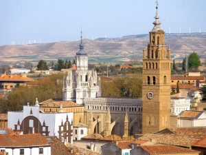Protozoos en agua estancada de Tarazona​